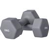 SPORTNOW Set 2 Manubri Esagonali da 10 kg in Metallo e Plastica con Impugnatura Antiscivolo, 26x12x12 cm, Grigio