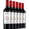 Famiglia Cotarella Sodale 6 bottiglie 2021 - Formato: 6x75cl