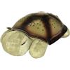Cloud b - Twilight Turtle - Classic