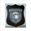 CREST COMPAGNIA AVIORIFORNIMENTI FOLGORE (araldica,militaria,)