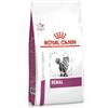 Royal Canin Veterinary Renal | 4000 g | Alimento dietetico Completo per Gatti Adulti | per Il Supporto dei Gatti con Problemi renali | A Basso Contenuto di fosforo