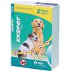 MSD ANIMAL HEALTH Srl Exspot Spot-On Soluzione Per Cani 6 Pipette da 1ml - Antiparassitario Efficiente per Cani