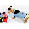 Dog Line Maglietta Versilia per cani - ULTIMI PEZZI