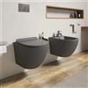 Parama Sanitari sospesi in ceramica grigio opaco rimless sedile con chiusura rallentata | Parigi