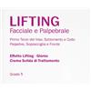 LABO INTERNATIONAL Srl LIFTING FACCIALE E PALPEBRALE GRADO 5 CREMA GIORNO 50 ML