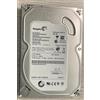 Seagate Hard Disk Seagate 250GB SATA 3.5" ST3250318AS usato, in ottime condizioni
