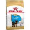 Royal Canin Yorkshire Terrier Junior - Sacchetto da 1,5kg.