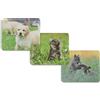 HAMA MOUSE PAD Mousepad Animali