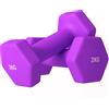 SPORTNOW Set 2 Manubri 2 kg Esagonali e Antiscivolo per Casa e Palestra, in Metallo e Plastica, 16x7.5x7.5 cm, Viola
