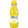 Iv san bernard shampoo zenzero e sambuco 500ml