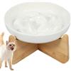 Gatphy Ciotola Anti Gloton per Gatto e Piccolo Cane in Ceramica Con Supporto in Bambù - Elevata per Prevenire Vomito, Indigestione e Obesità (Bianco)