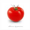 Pro-Art-Bilderpalette PRO-Art gla401b - Quadro da Parete su Vetro Pomodoro, 50 x 50 cm