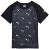 PUMA Unisex Active Sports Poly AOP Tee B Tee