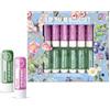 Beauty4Britain Set di 12 Balsami Labbra di Lusso Bouquet 12 Profumazioni Diverse Unisex Protegge & Ripara Idrata Arricchito con Cera d'Api, Olio di Cocco, Burro di Karité, Vitamina E & Aloe Vera