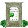 EPEL Basilico in Foglie 600gr - Basilico Essiccata - Infuso di Basilico - Basilico Sfuso (600 gr, Basilico)