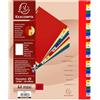Exacompta 20 divisori PP 31 tacche numeriche 1-31 a colori A4 Maxi