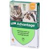 Elanco Italia SpA Advantage 40 Mg Soluzione Spot-on Per Gatti Piccoli E Conigli 4x0,4 ml