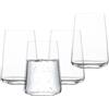 SCHOTT ZWIESEL Bicchiere da acqua MioVino (set di 4), bicchieri da acqua moderni, bicchieri in cristallo Tritan lavabili in lavastoviglie, Made in Germany (art. 124053)