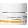 WALA ITALIA SRL Dr Hauschka Balsamo Labbra 4,5g