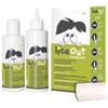 EKUBERG PHARMA S.U.R.L. Liceout Kit Completo 1 Shampoo 125 Ml + 1 Lozione 125 Ml + 1pettine