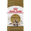 Royal Canin Maine Coon 31 - Cibo per gatti, 10 kg