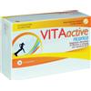 AQUA VIVA SRL Vita active ricarica - Integratore alimentare indicato in caso di stress, stanchezza o debolezza, favorisce sostegno del sistema immunitario - Formato 30 compresse