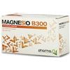 PHARMASI' Srl MAGNESIO B 300 30BUST