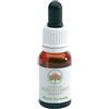 Bush fuchsia gocce 15ml
