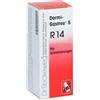 Dr.reckeweg Reckeweg r14 gocce 50ml