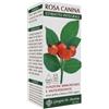 Giorgini Rosa canina estratto integrale 200 ml
