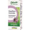 Boiron Passiflora estratti di piante boiron ei 60 ml