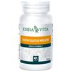 Erba vita Olio fegato merluzzo 100 perle 453 mg