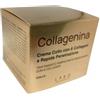 Labo Collagenina crema collo 50ml Grado 1