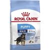Royal Canin per Cane Puppy Maxi Formato 4kg