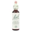 Schwabe Fiori di Bach originali Star of Bethlehem gocce orali omeopatiche (20 ml)"