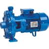 TTPro Pompa Speroni 2CM 25/160BA Centrifuga 3,00hp