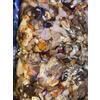 - Senza marca/Generico ? busta kg 3 funghi misti di bosco con porcini monti calabria antipasto gioielli