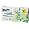 PHARMAIDEA Srl SOBREPIN Nat.Caram.Gola 20Past