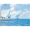 PSP Marine Tapes PSP Spinnaker Repair Tape 50mm x 4.5m Sea-Green
