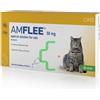 krka farmaceutici Amflee Spot On 3 Pipette Gatti