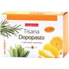 NATURWAREN ITALIA Srl Tisana Dopopasto Dr. Theiss Naturplus - 20 Filtri, Aromatica e Digestiva, Sapore Naturale