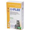 AMFLEE spot-on soluz 3 pipette 0,5 ml 50 mg gatti pz Pipette monodose