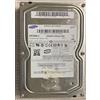 Samsung Hard Disk Samsung 300GB SATA 3.5" HD300LJ usato, in ottime condizioni