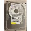 Western Digital Hard Disk Western Digital IBM 250GB SATA 3.5" WD2500YS usato, ottime condizioni