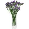 DRERIO Vaso Trasparente per Decorare Stanza, Moderni da Interno Design Rettangolare Vasi Unico per Decorazioni Casa per Arrangementi Floreali E Decorazione Domestica (20 x 8cm Vaso vetro)