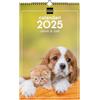 Finocam - Calendario Immagini da Parete Spirale per Scrivere 2025 Mese Vista Gennaio 2025 - Dicembre 2025 (12 mesi) Cani e gatti Catalano