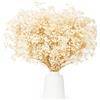 KAOHONG Fiori secchi Bouquet Gypsophila Essiccata 17 pollici 3500+ fiori bianchi avorio, rami di Naturale Gypsophila Fiori Secchi per ghirlande fai-da-te, casa, matrimonio, decorazioni per vasi, 7-285/40