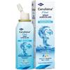 IBSA FARMACEUTICI ITALIA SRL SPRAY AURICOLARE CERULISINA FAST ADULTI E BAMBINI