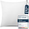 ATsense Federe Cuscino Letto 40x40 cm di 1, 100% Cotone Lavato, Copricuscino Letto Bianco Con Cerniera, Federa Cuscino Certificata OEKO-TEX