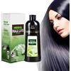Dyceittdia 500ml Shampoo Colorante Per Capelli, Shampoo Istantaneo Per Capelli Neri, Shampoo Alle Erbe, Copertura Capelli Grigi, Shampoo Colorante Per Capelli Uomo E Donna, Nero, conditioner